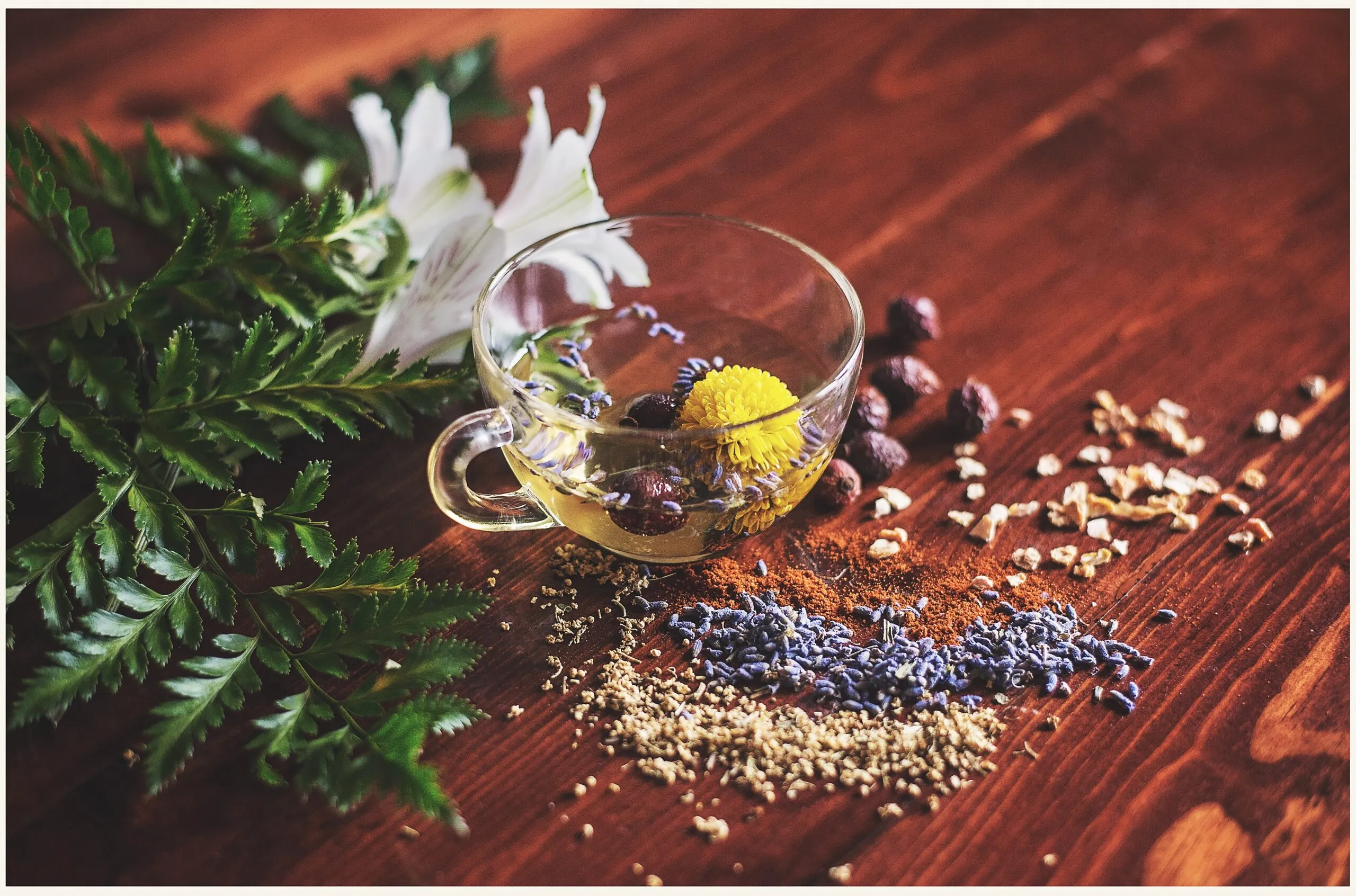 Holistic Chiropractor: What Does This Mean and Should I Care?