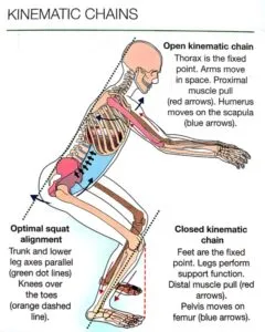 Kinematic Chains