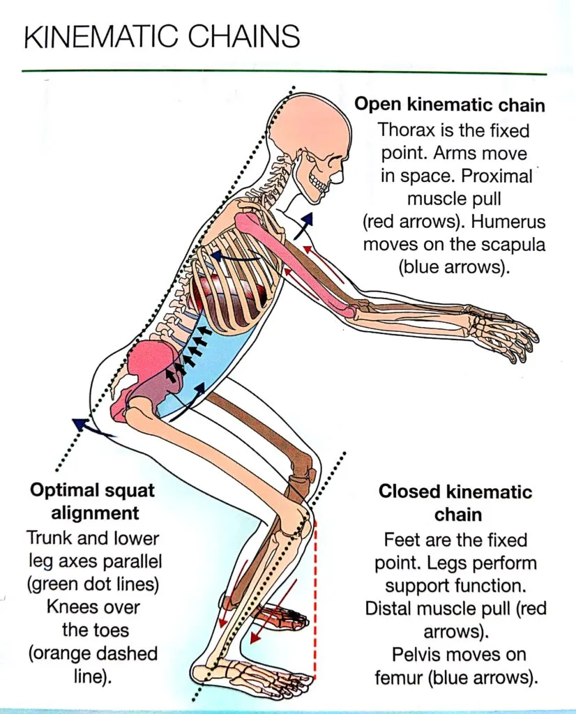 Kinematic Chains
