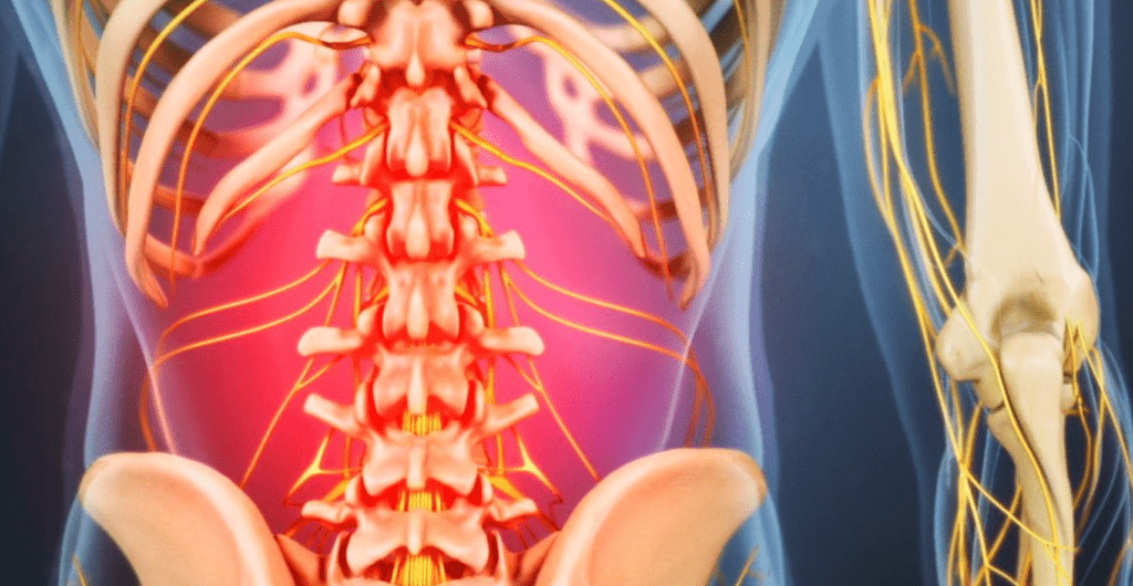The Truth: What You Need to Know About Low Back Pain