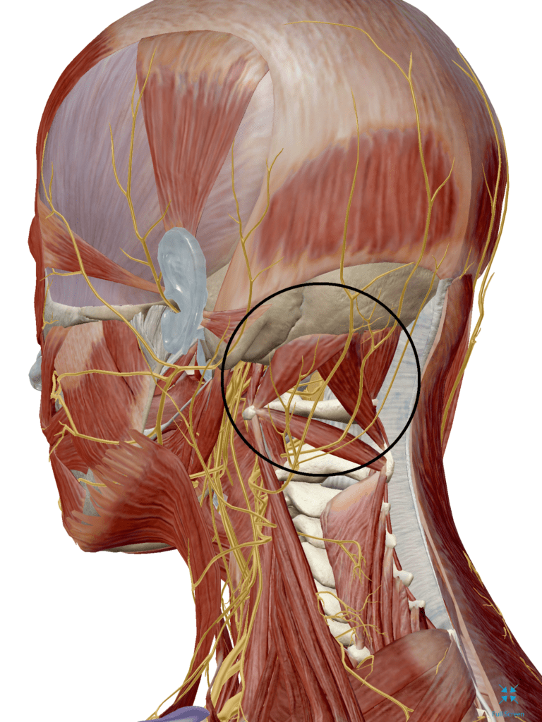 Headache Treatment Relief Reach Rehab Chiropractic Plymouth Mi