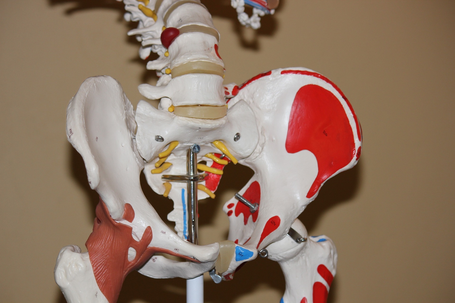Hip Pain – It hurts to move my hip